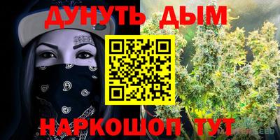 герыч Моздок